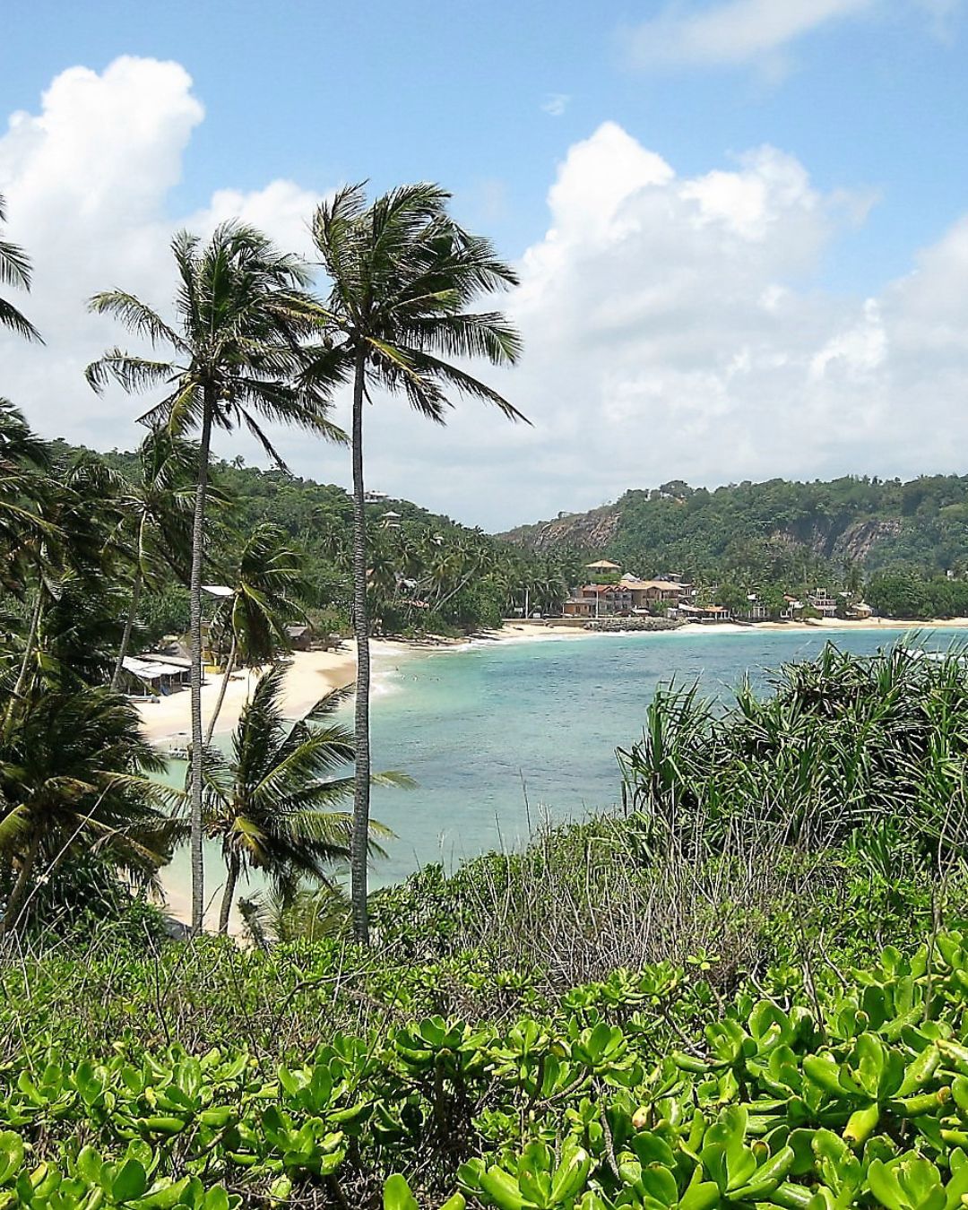 Jungle Beach