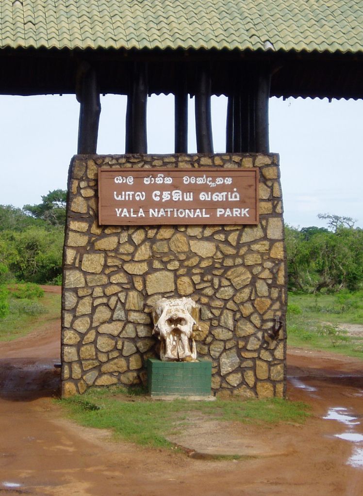 Wildlife Safaris