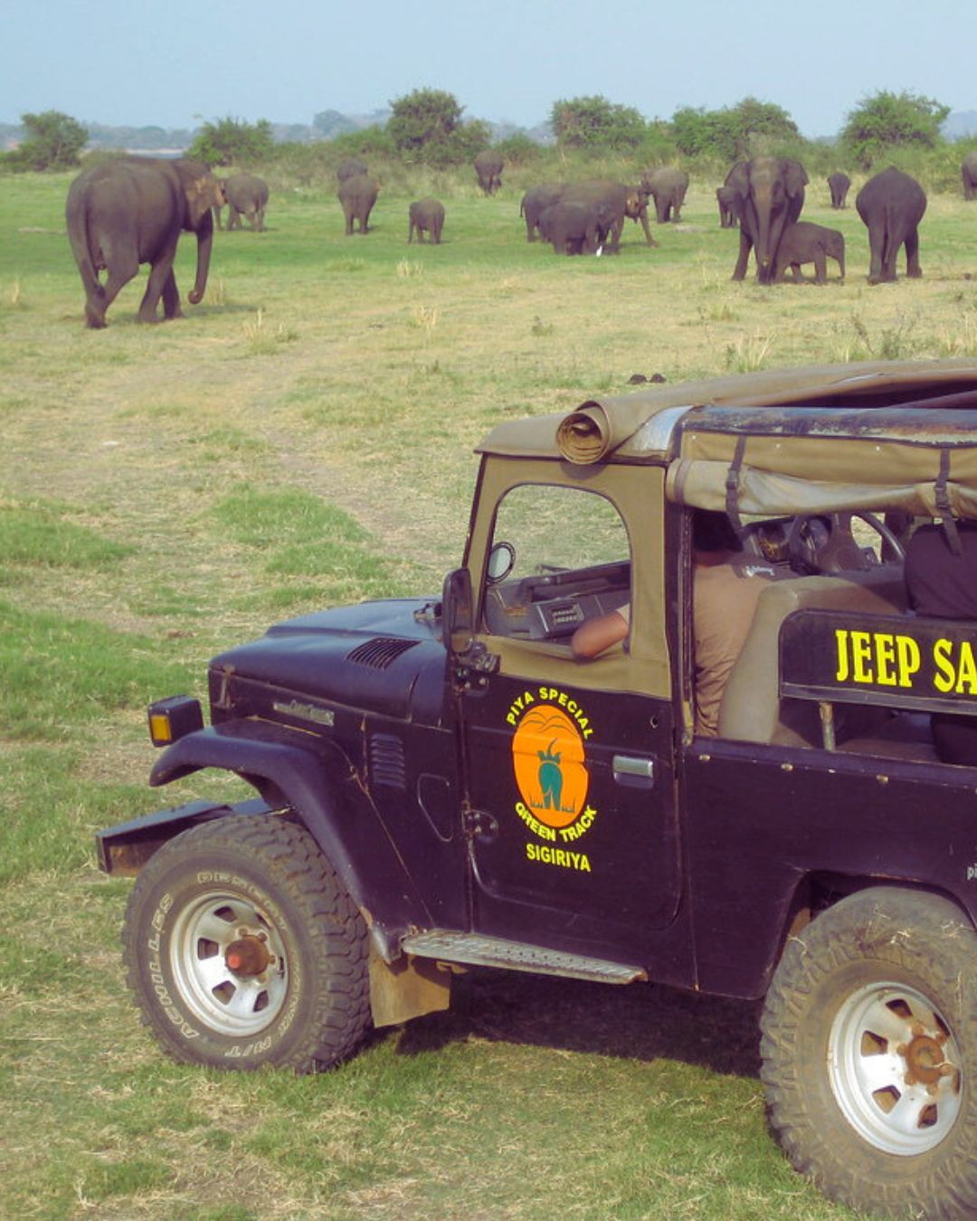 Jeep Safari